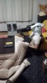 /album/%e3%82%ae%e3%83%a3%e3%83%a9%e3%83%aa%e3%83%bc/dsc-0020-jpg/